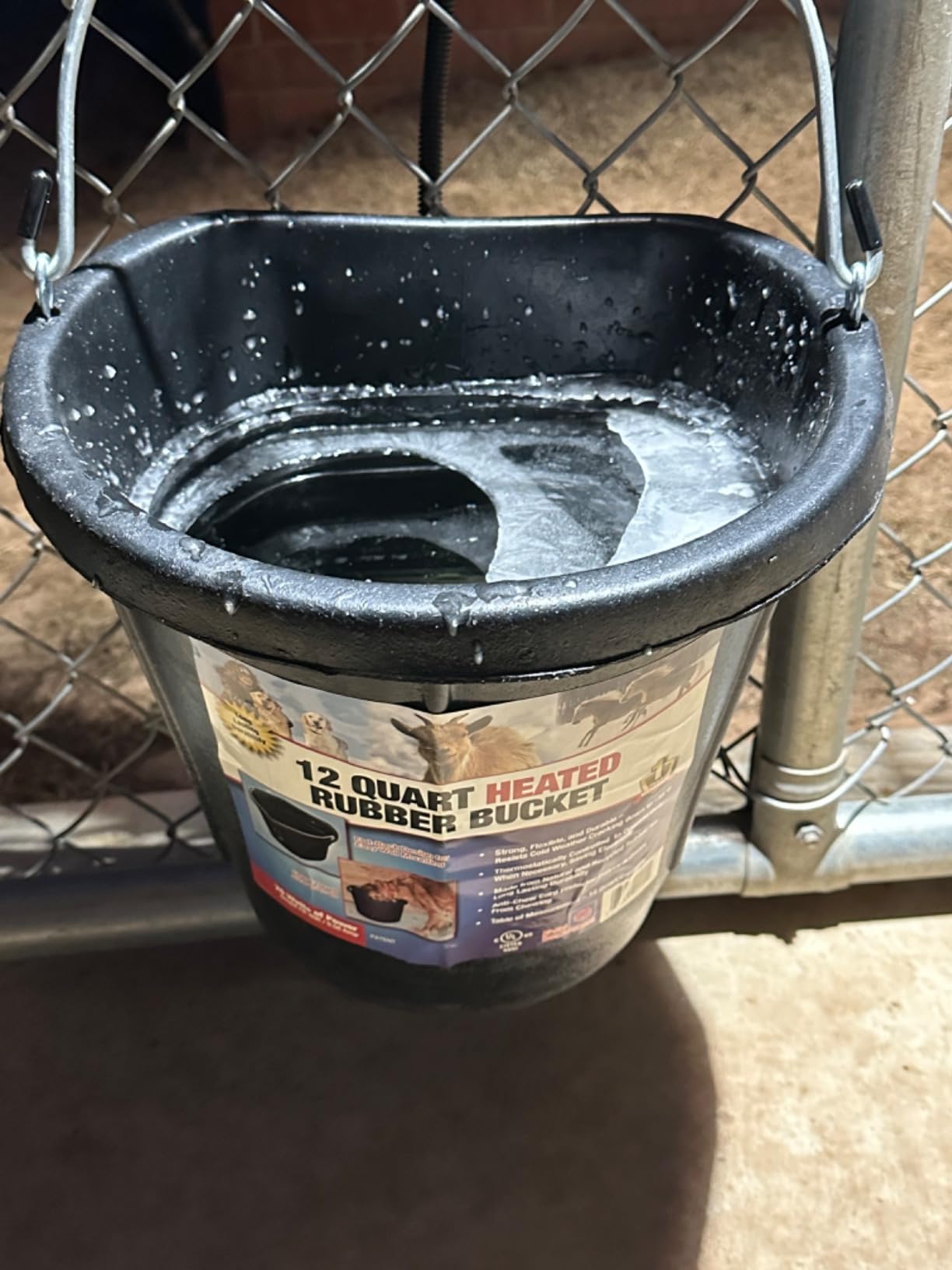 Farm Innovators FB-80R Heated Flat-Back Rubber Bucket, 70 Watts, 3 Gallon customer photo 1