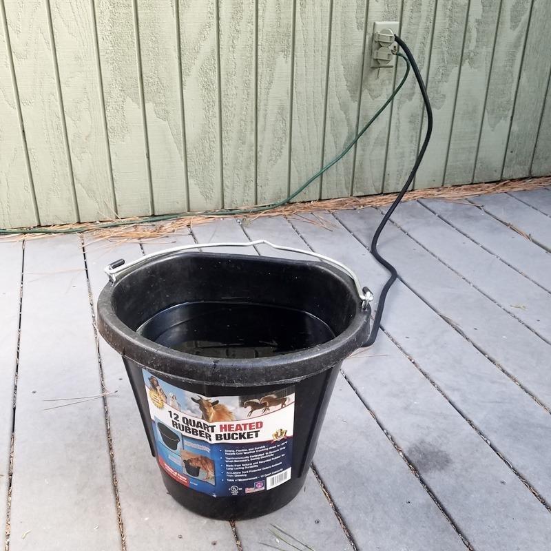 Farm Innovators FB-80R Heated Flat-Back Rubber Bucket, 70 Watts, 3 Gallon customer photo 2