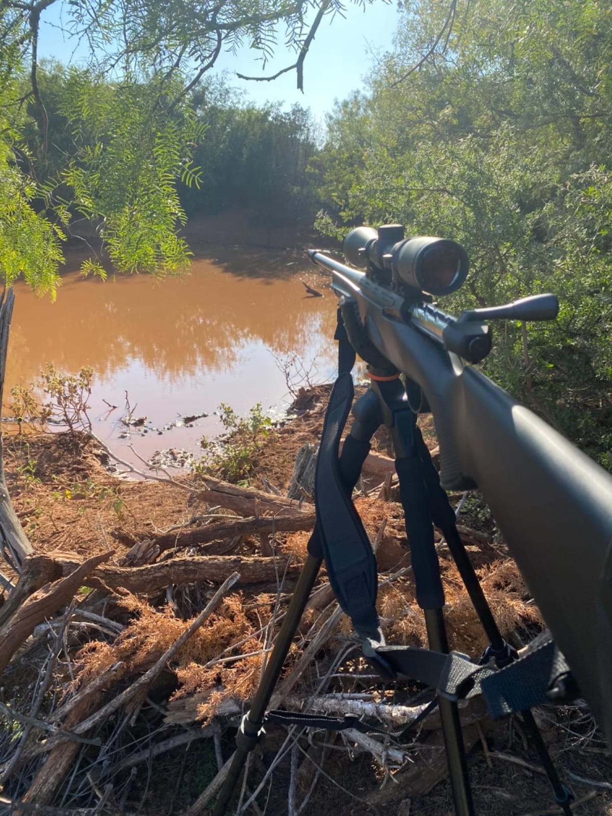 Vanguard Quest T62U Shooting Stick. Tripod, Bi Pod, Gun Pod All in One with Removable U Shaped Yoke, Quick Flip Leg Locks, Foam Hand Grips, Black customer photo 2