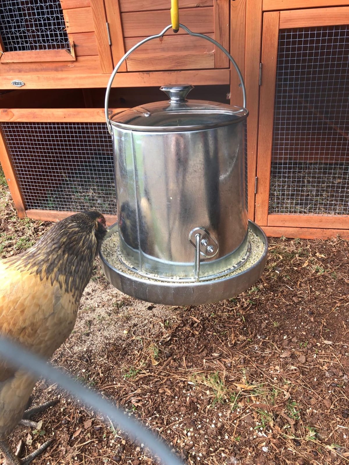Harris Farms 1000293 Galvanized Hanging Poultry Feeder, 15 lbs, Metal customer photo 2