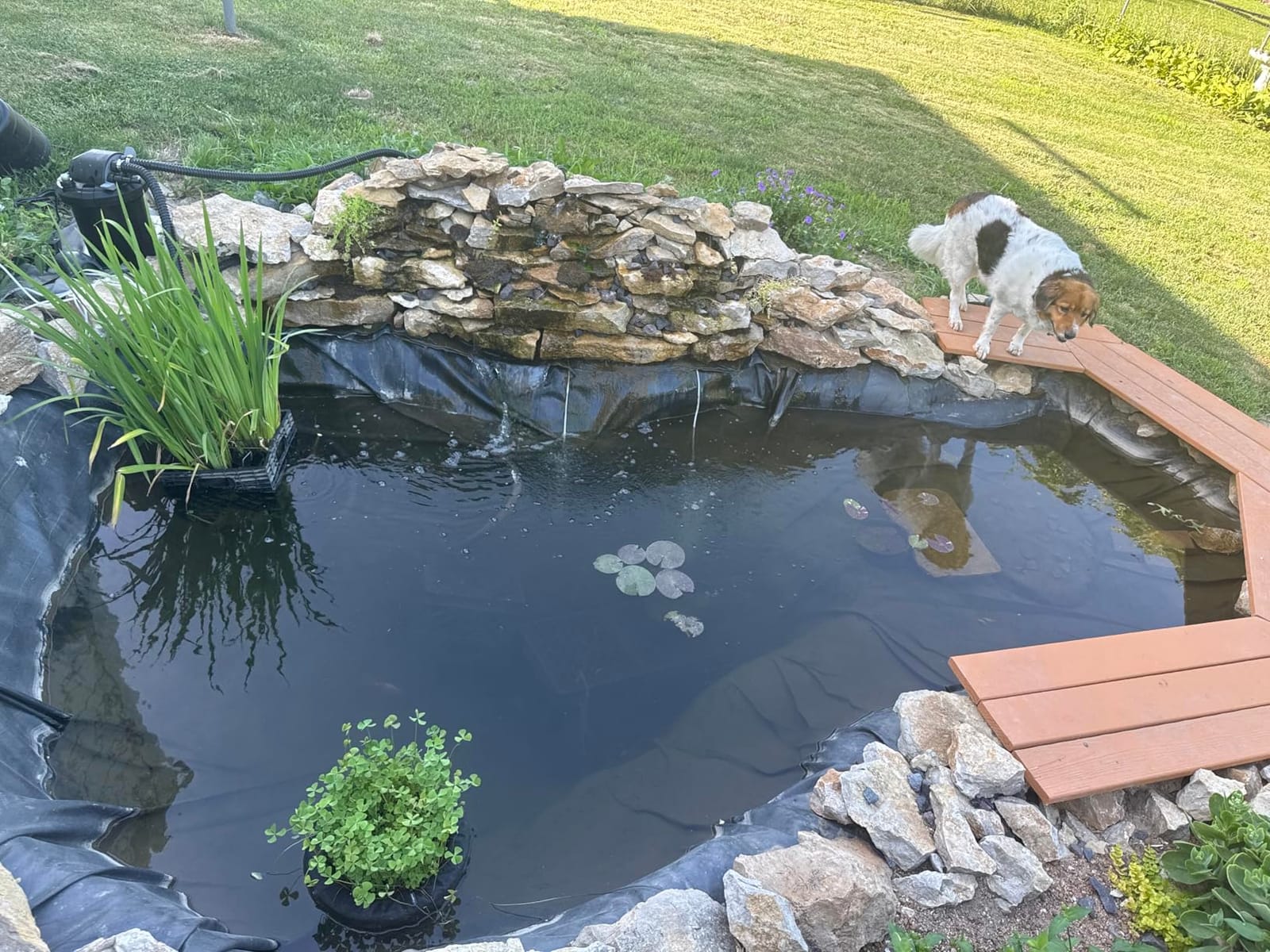 Jebao 1000 Gallon Pressured Pond Bio Filter w/ 13W UVC Clarifier customer photo 2