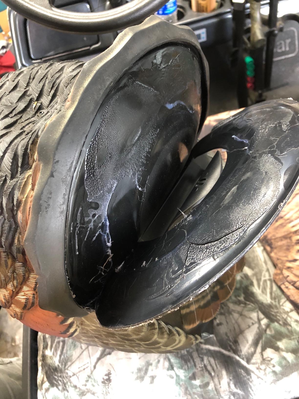 Avian-X LCD Strutter Durable Realistic Lifelike Collapsible Standing Hunting Folding Turkey Decoy with Carry Bag & Stake, AVX8004 customer photo 2