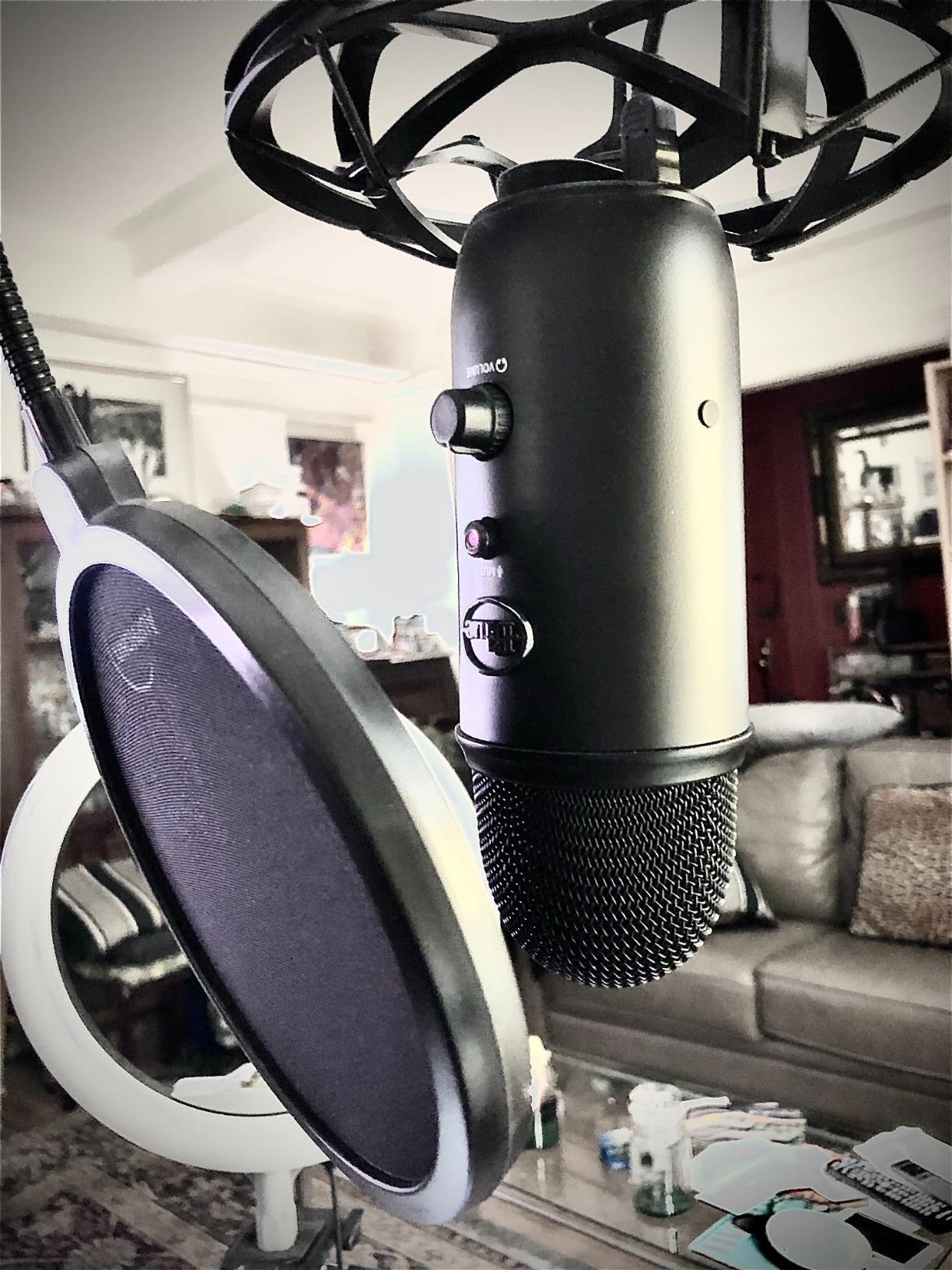 Microphone Pop Filter (MPF-1) 6-inch Diameter With Double Mesh Filter Screen customer photo 2