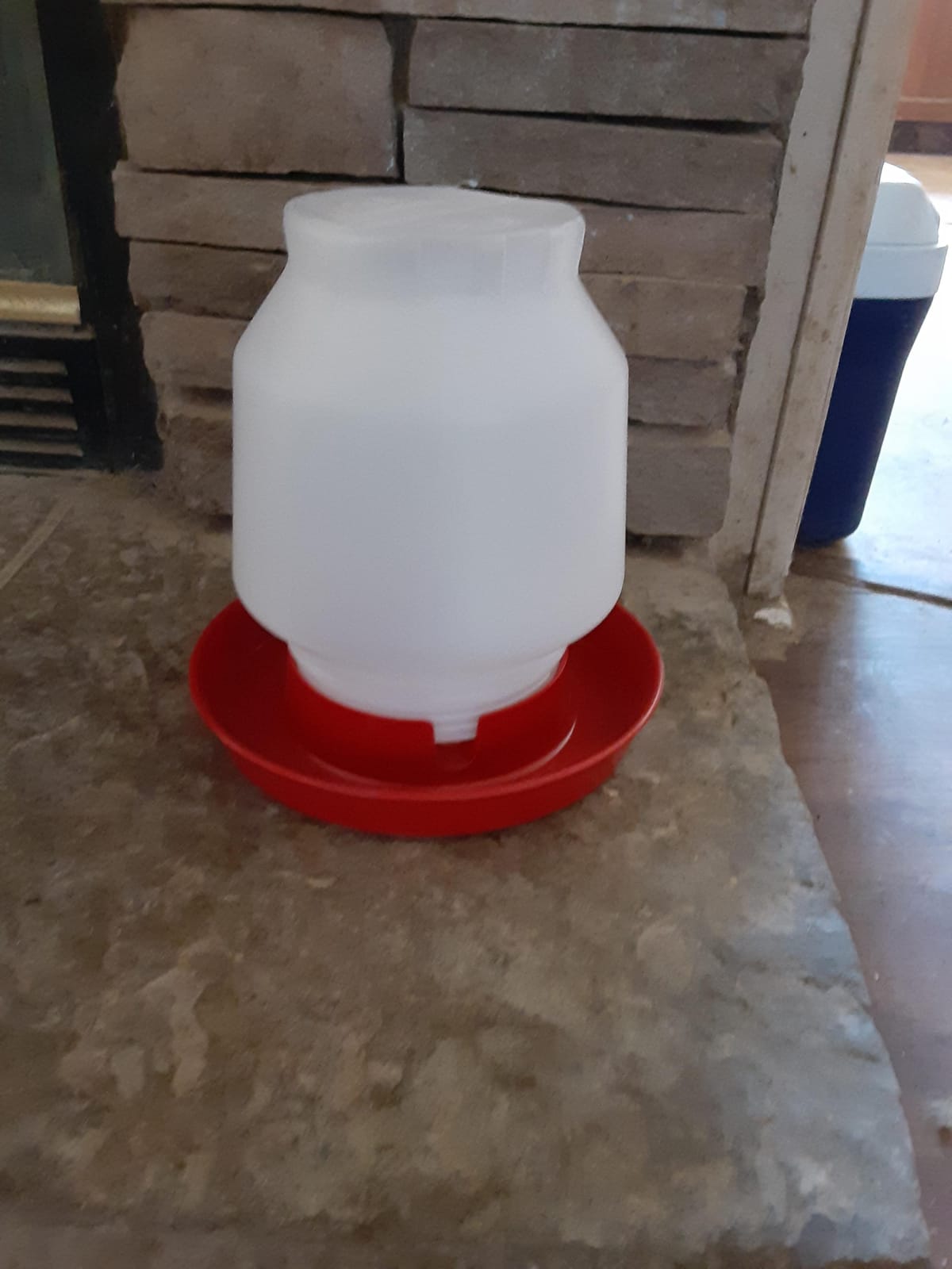 Little Giant® Complete Plastic Poultry Fount | Heavy Duty Plastic Gravity Fed Water Container Jar | Waterer for Chickens, Turkeys, Ducks & More | Made in USA | 1 Gallon | Red customer photo 2