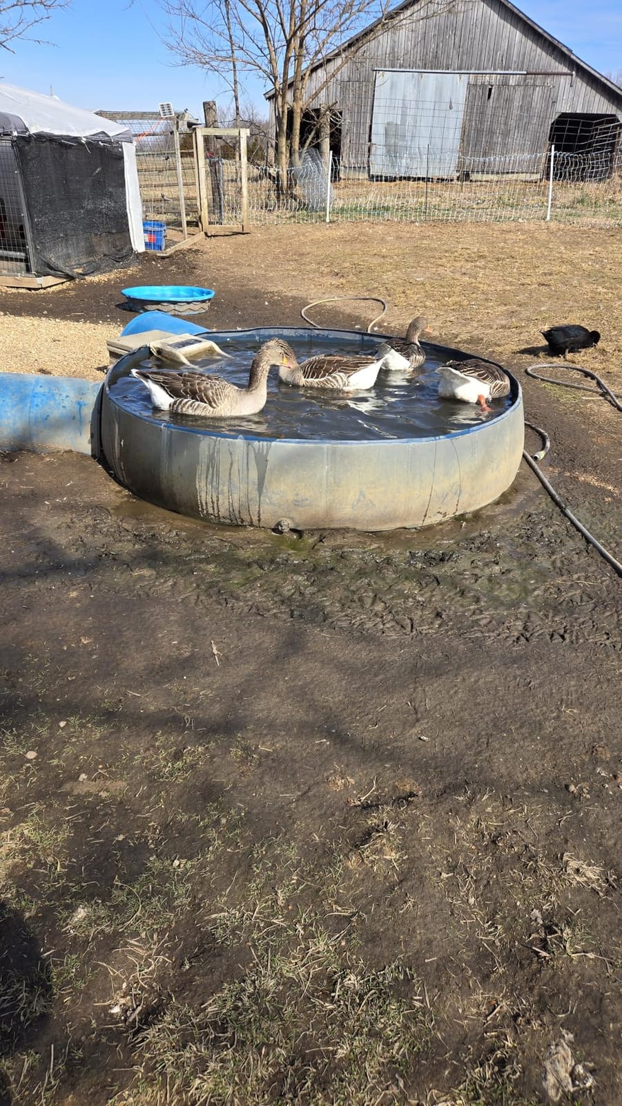 The Pond Guy ClearVac Pond Vacuum Cleaner for Outdoor Decorative Ponds customer photo 2