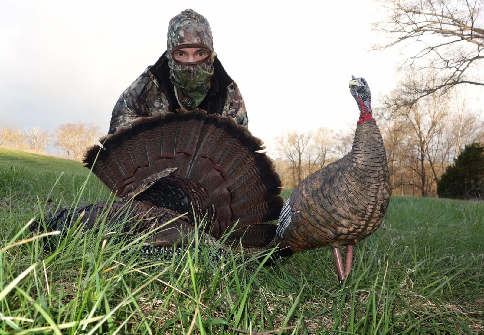 Avian X LCD Lookout Hen Turkey Decoy customer photo 2