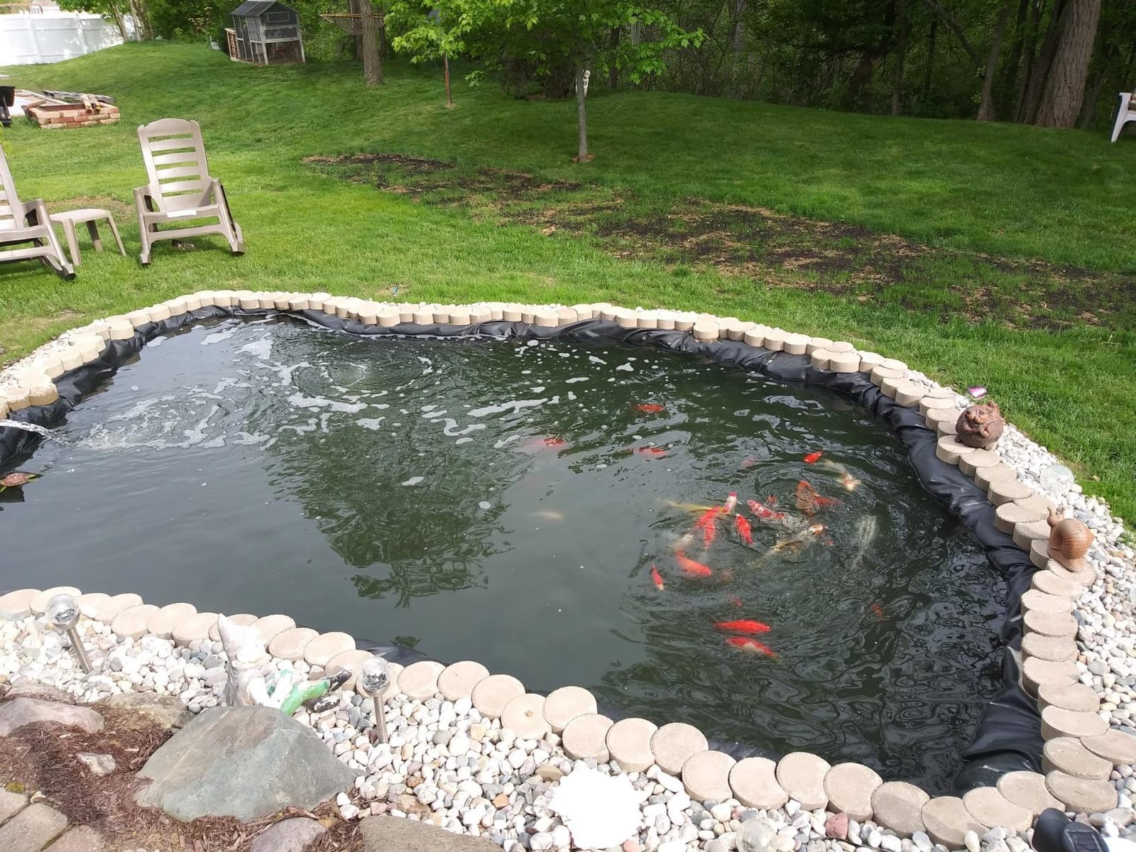 OASE Vitronic 18 UV Clarifier for Pond customer photo 2