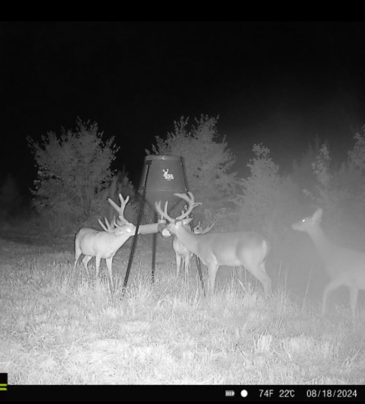 Boss Buck Gravity Deer Feeder for Game & Hunting, 200 lb Corn Capacity customer photo 2