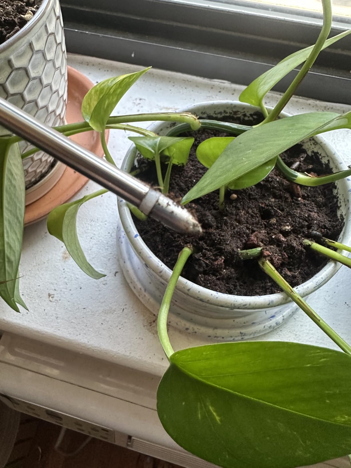 XLUX Plant Soil Moisture Meter, for Indoor and Outdoor use, Battery-Free customer photo 2