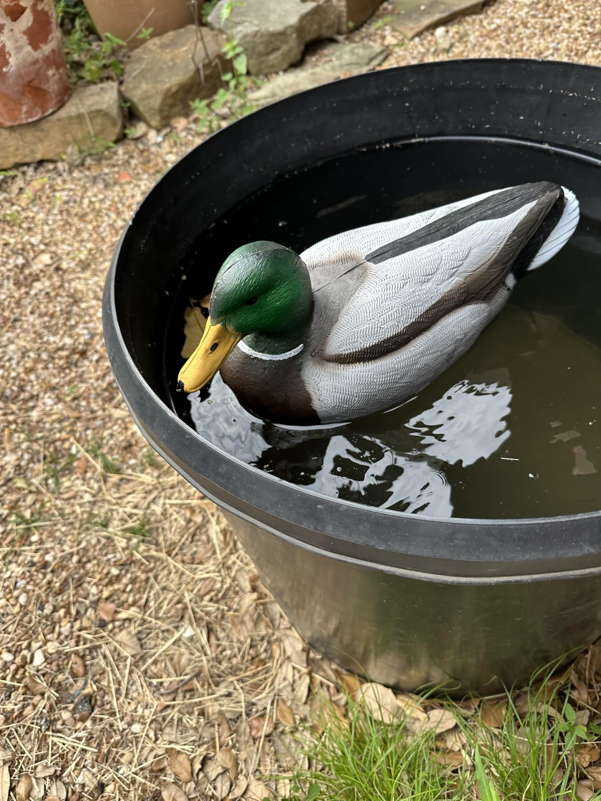 Flambeau Outdoors Storm Front 2 Mallard Decoys, Classic Floaters, 6-Pack customer photo 1