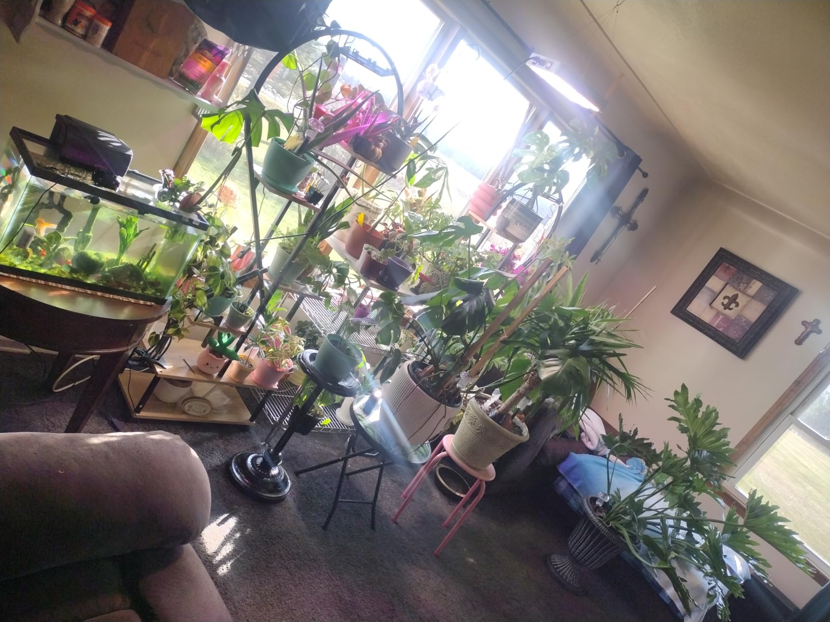 KingLED KP1000 Grow Light for Indoor Plants, Fits 2x2, 2x3 & 2x4 ft Tents customer photo 1