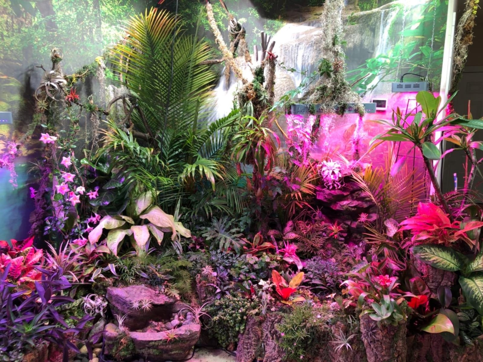 KingLED KP1000 Grow Light for Indoor Plants, Fits 2x2, 2x3 & 2x4 ft Tents customer photo 2