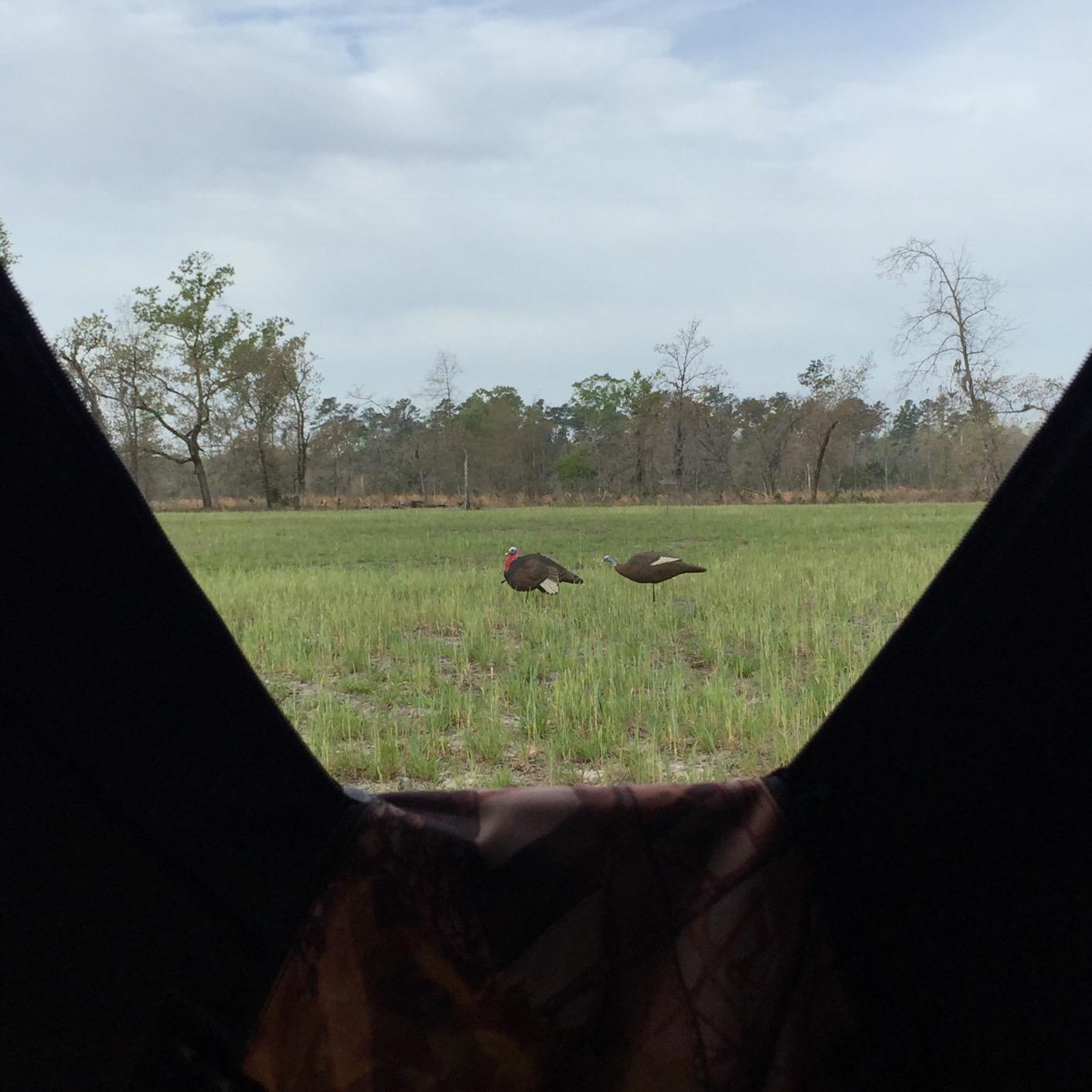 Tangkula 3 Person Pop up Ground Blind, Portable Hunting Blind with Mesh Windows, Carrying Bag & Ground Stakes, Camouflage Hunting Tent with Hub System, Camo Deer Blinds for Hunting customer photo 2