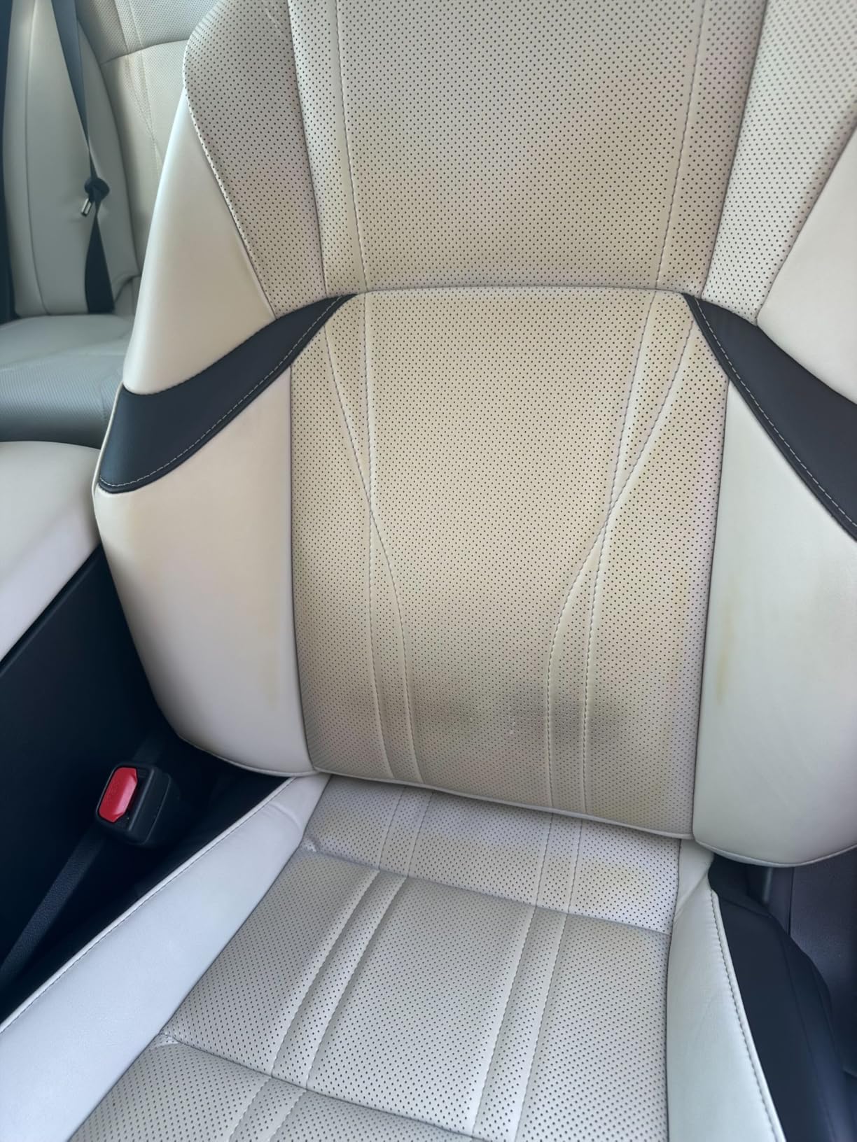 Gorla Gear Black Premium Universal Fit Waterproof Stain Resistant Car Seat Cover Neoprene Non-Slip Bucket Seat Dog Sweat Proof Protector Save Your Leather Cloth Seats Van Truck SUV Auto Sedan customer photo 1