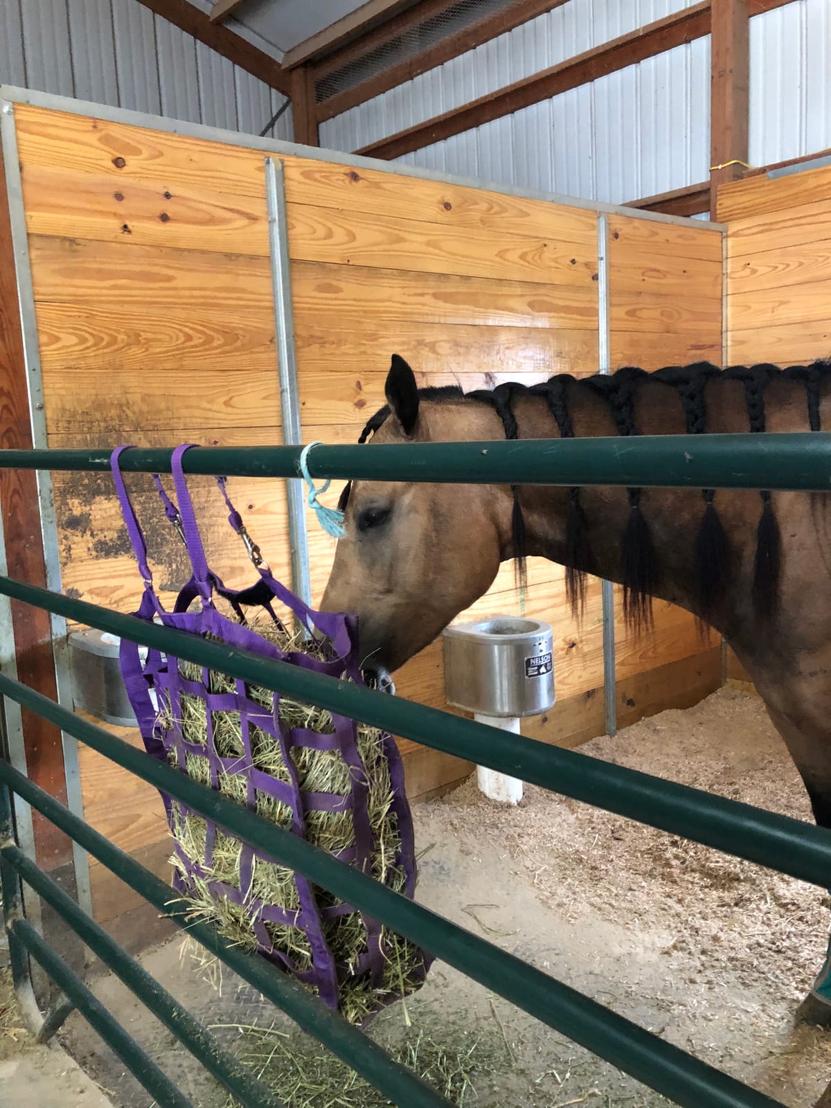Derby Originals Easy Feeder Horse Hay Bag with Super Tough Bottom and 1 Year Warranty customer photo 2