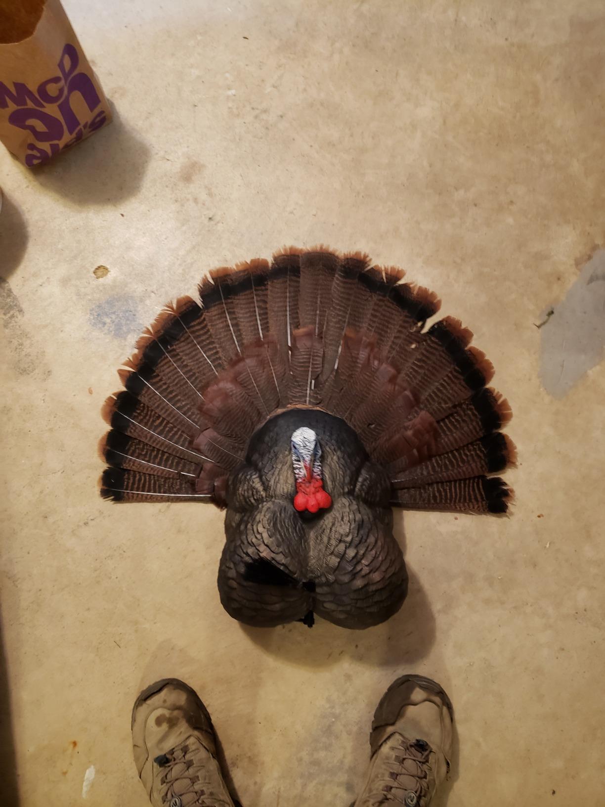 Flextone Hunting Lightweight Ultra Realistic Lifelike Plastic Outdoor Thunder Creeper Gobbler Turkey Decoy customer photo 1