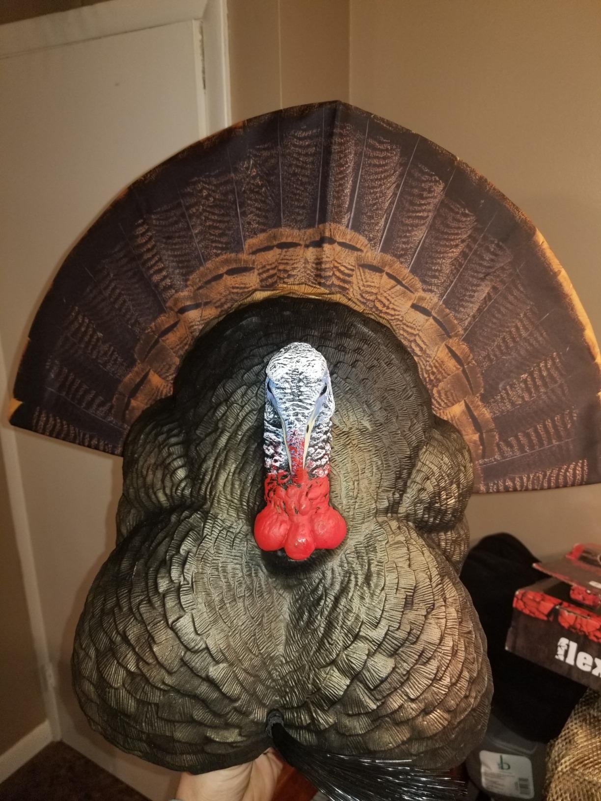 Flextone Hunting Lightweight Ultra Realistic Lifelike Plastic Outdoor Thunder Creeper Gobbler Turkey Decoy customer photo 2