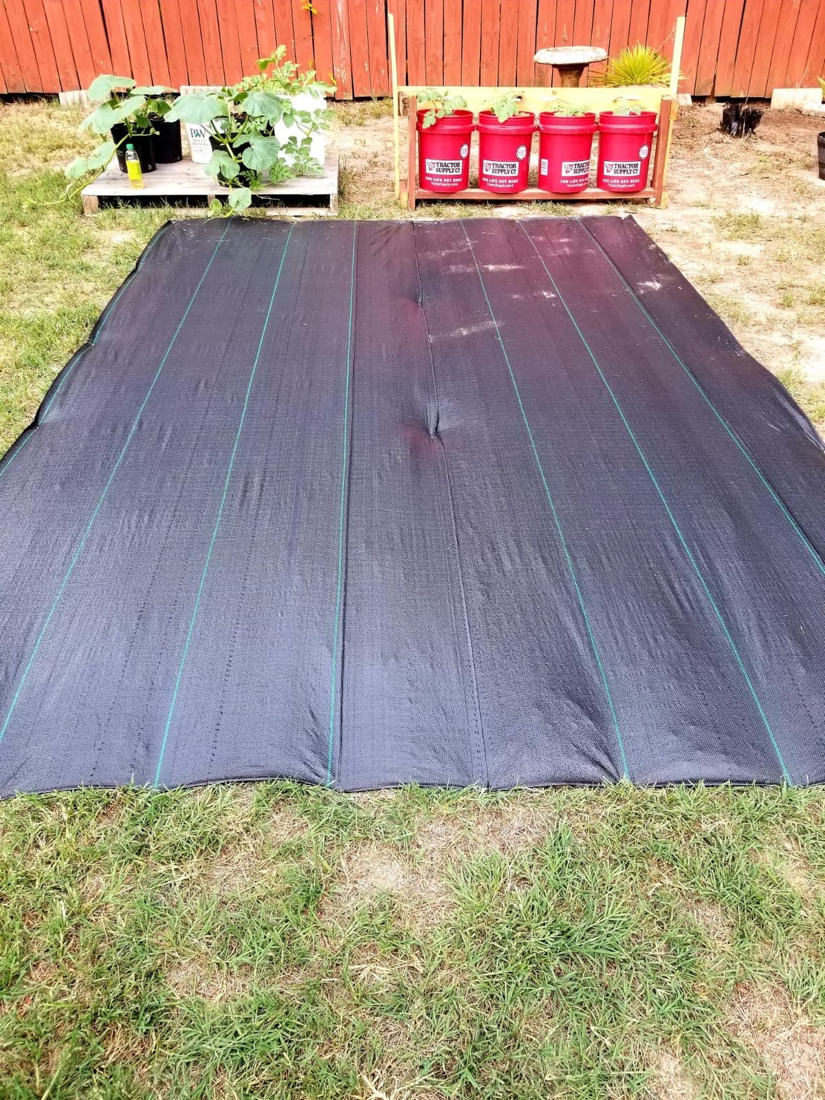 ECOgardener Premium 5oz Landscape Fabric, 3ft x 50ft Pro Garden Weed Barrier - Durable & Heavy Duty Weed Block Gardening Mat, Easy Setup & Superior Weed Control, Eco-Friendly & Convenient Design customer photo 1