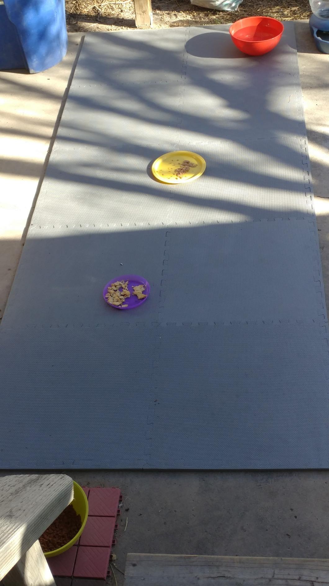 BalanceFrom Puzzle Exercise Mat 1/2