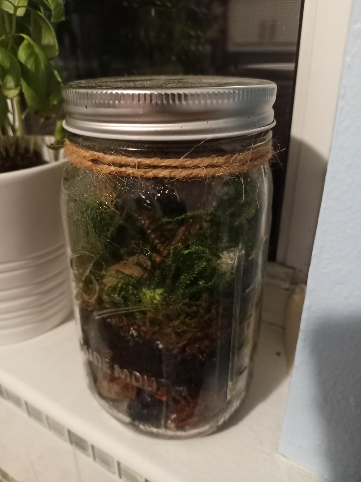 Portland Terrarium kit - DIY Mason Jar Terrarium Kit customer photo 1