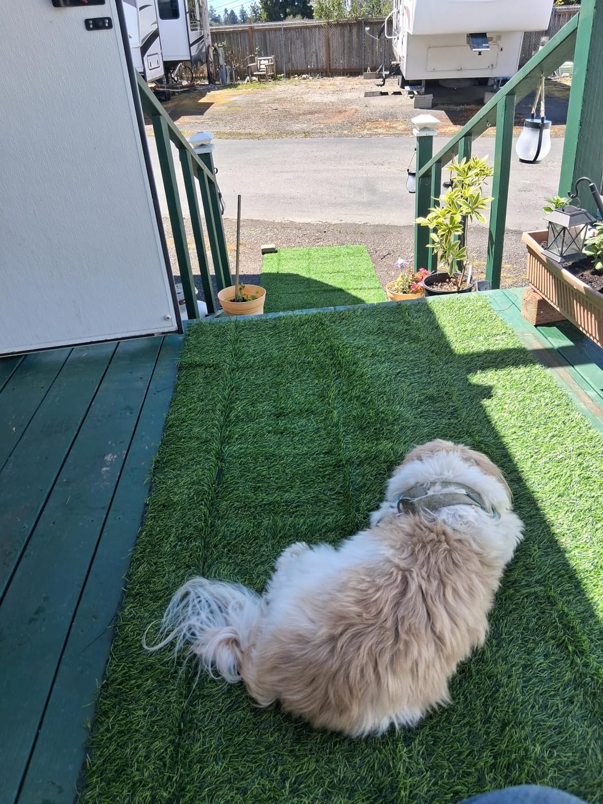 Fasmov Green Artificial Grass Rug Grass Carpet Rug 3.2' x 6.5', Realistic Fake Grass Deluxe Turf Synthetic Turf Thick Lawn Pet Turf -Perfect for Indoor/Outdoor customer photo 2