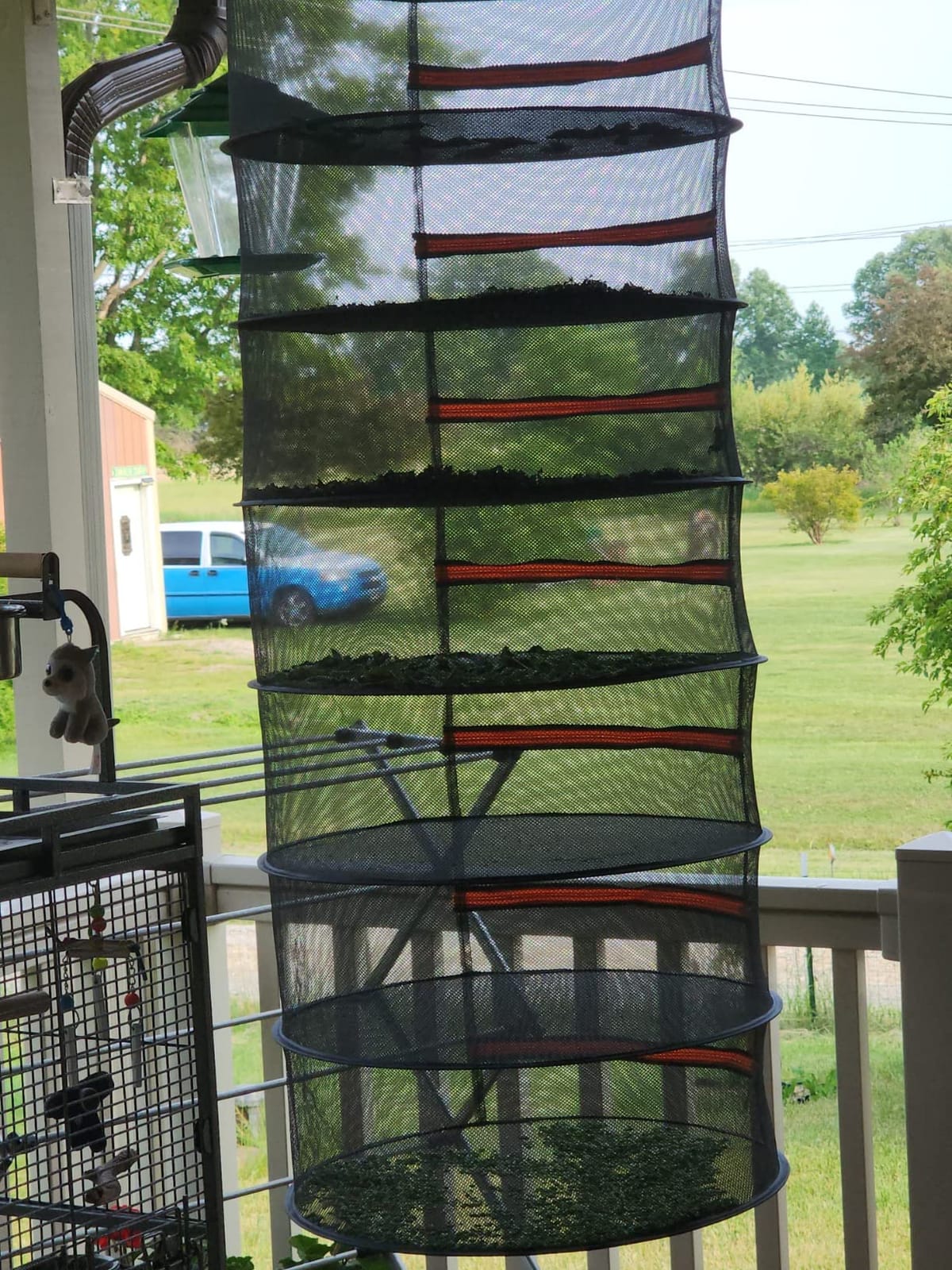 Desy & Feeci 4-Layer Herb Drying Rack - Collapsible Mesh Hanging Dryer Net for Herbs, Flowers, Tea, Fruits, and Vegetables - Includes S-Hook & Storage Bag (24
