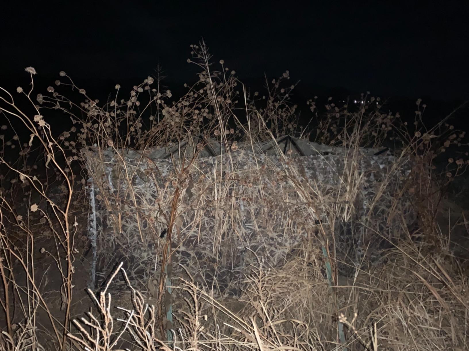 AUSCAMOTEK Pop Up Ground Blind for Deer Duck Turkey Hunting Portable Quick Setup Lightweight Green/Brown/Dry Grass Ground Peg Included customer photo 2