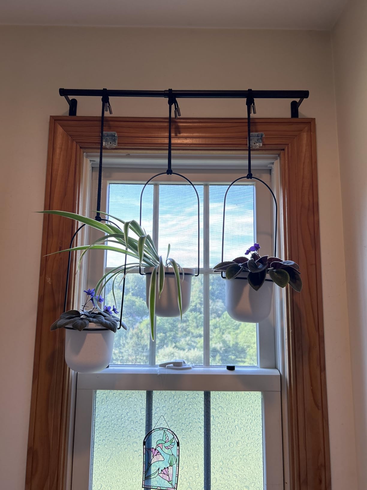 Umbra Triflora Hanging Planter, Indoor Herb Garden, Set of 3, White/Black | Extendable metal rod, adjustable rope lengths, fits standard pots, wall or ceiling mount, holds 15 lbs, recycled plastic customer photo 1