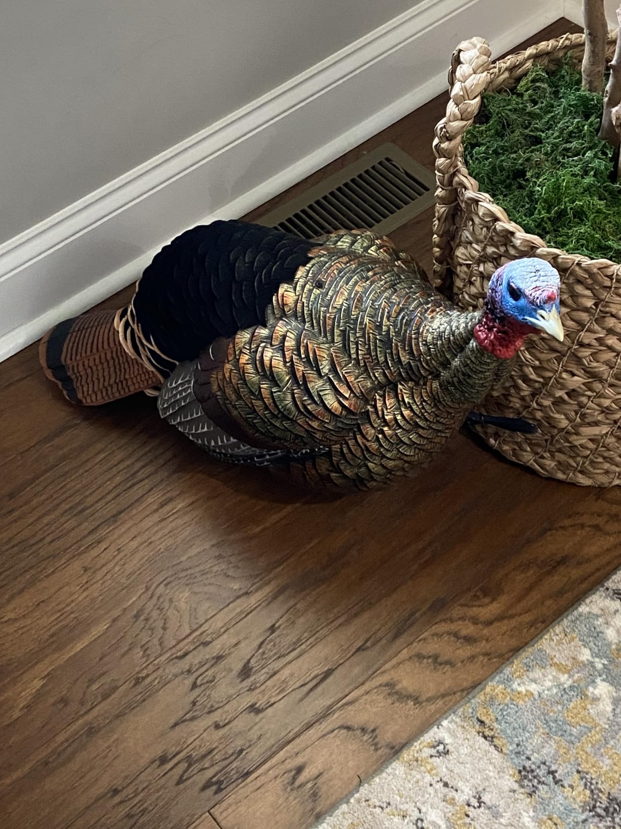 Avian-X HDR Jake Turkey Decoy | Rugged Durable Realistic Lifelike Quarter-Strut Body Standing Hunting Decoy with 2 Removable Heads, Mounting Stake & Carry Bag customer photo 2