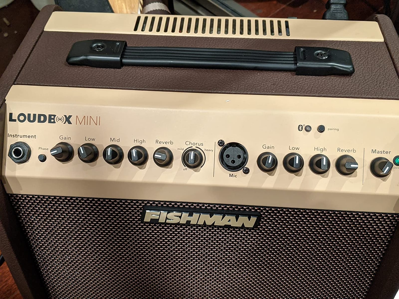 Fishman Acoustic Guitar Amplifier (PRO-LBT-500) Brown customer photo 1