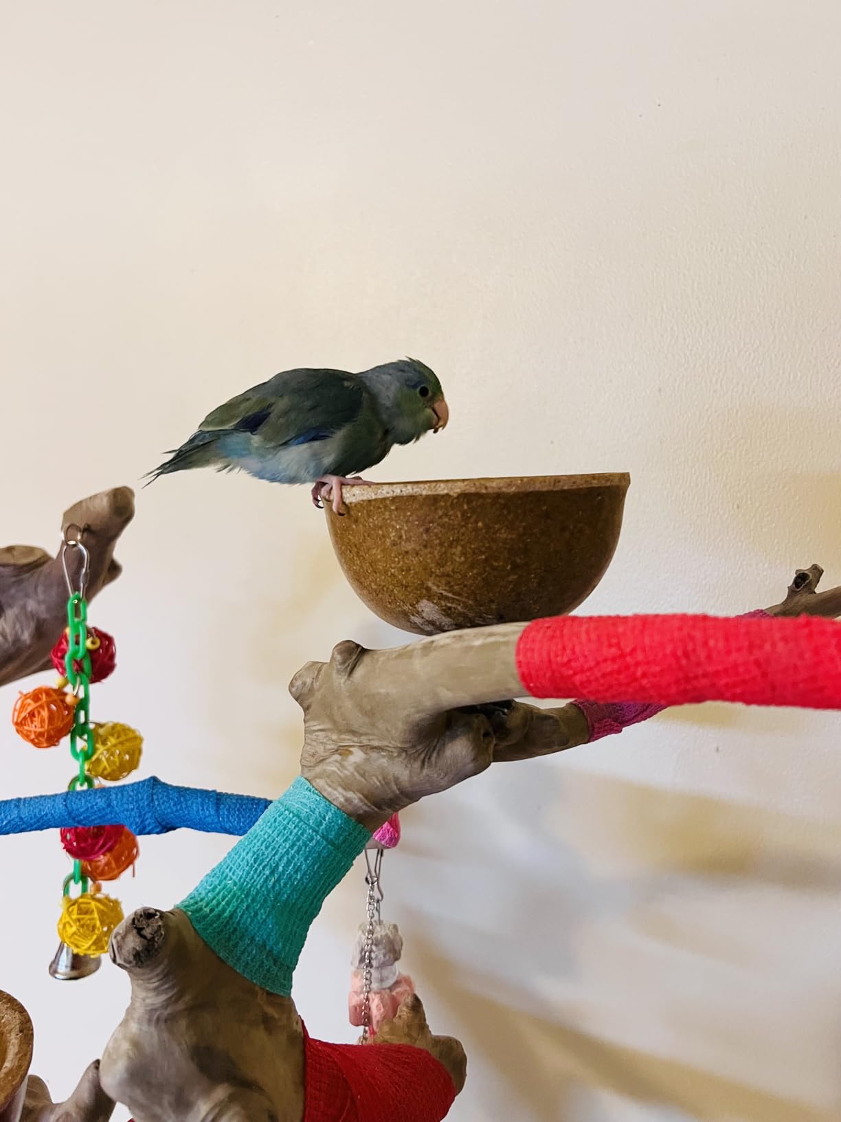 Prevue Pet Products Coffeawood Tree Style # 2 (Medium) customer photo 2