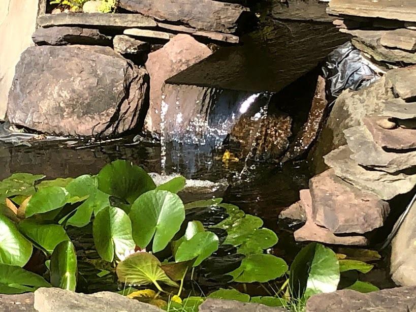 VIVOHOME 120W Pond Pump, 2700GPH Submersible Water Pump for Koi Pond customer photo 1