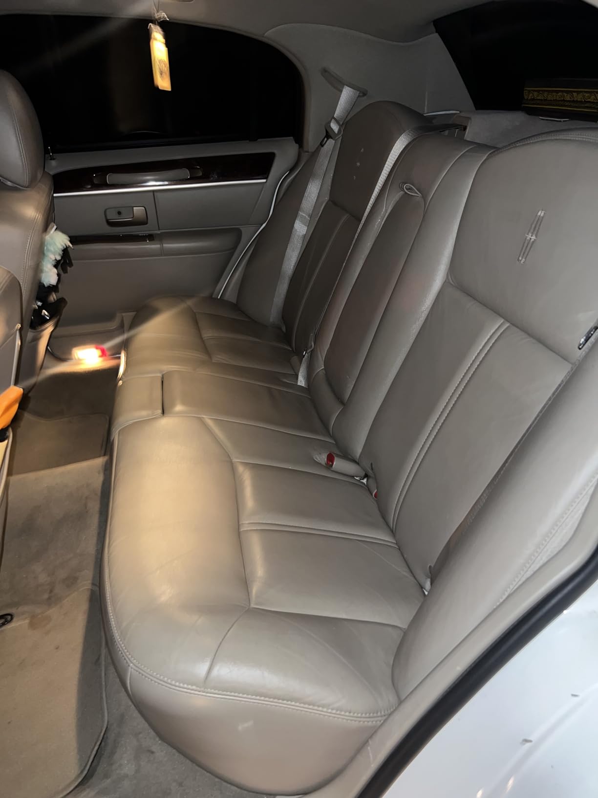 Armor All Car Leather Cleaner Spray with Beeswax, 16 Fl Oz customer photo 2