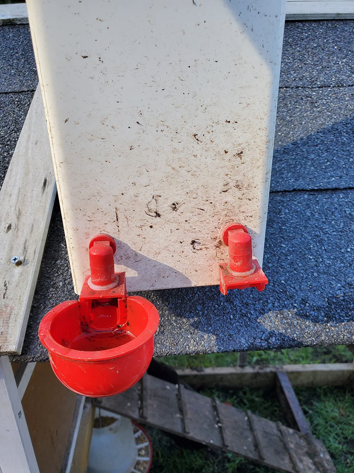 RentACoop 2 Gallon High Rise Chicken Waterer with Cups & Nipples customer photo 2