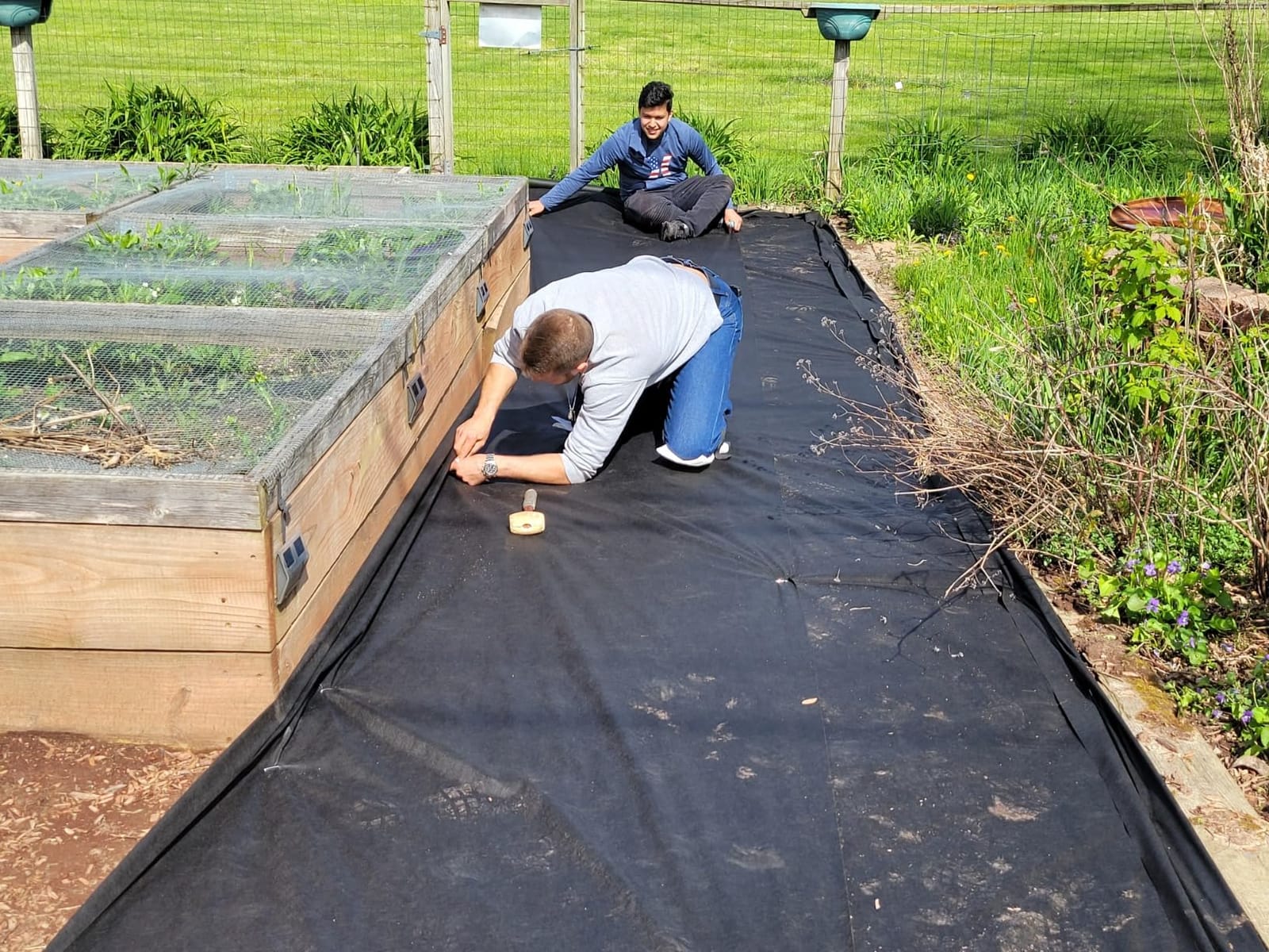 VIVOSUN Premium Weed Barrier Landscape Fabric Heavy Duty 3ftx100ft customer photo 1