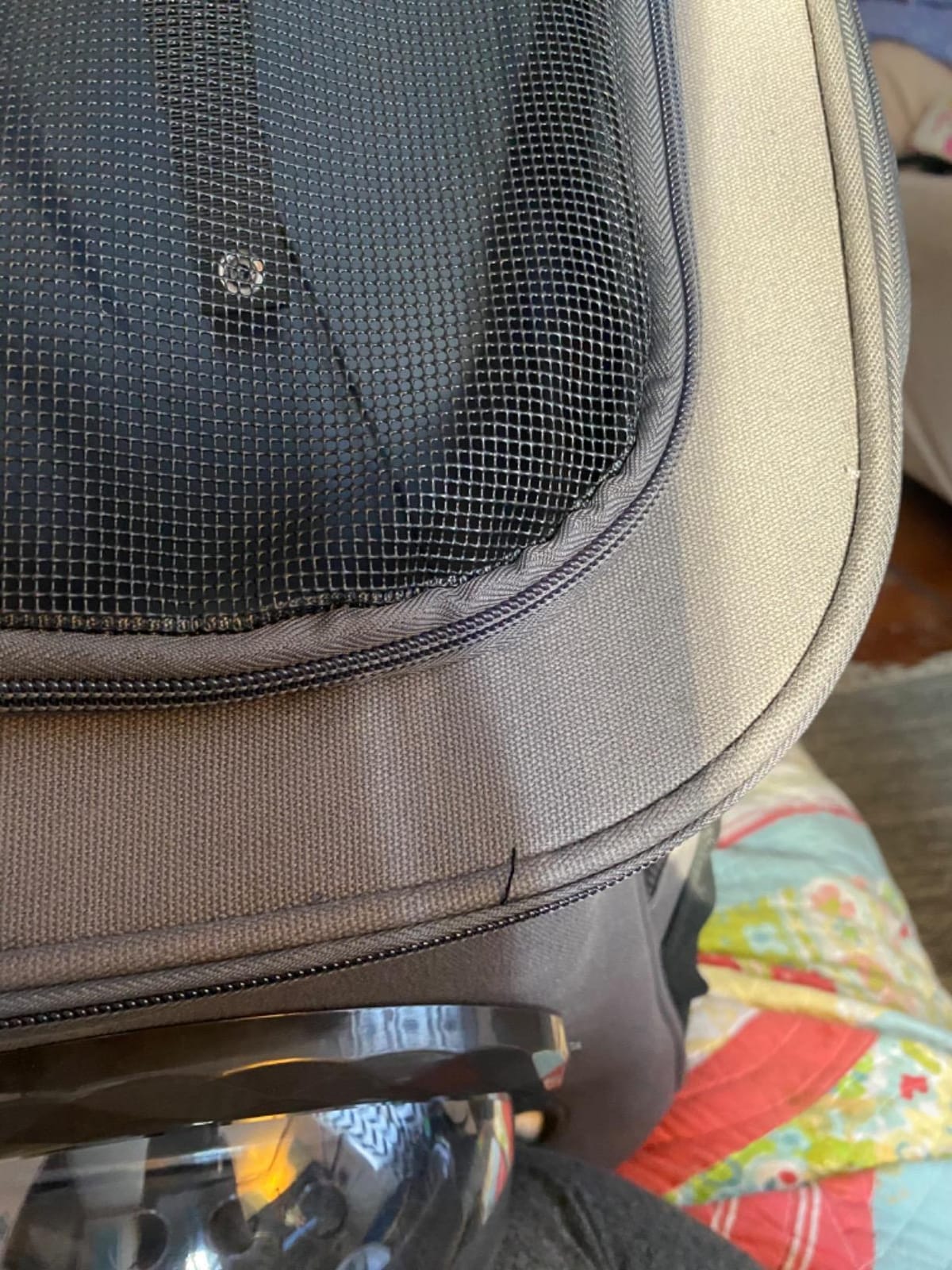 LOLLIMEOW Large Pet Carrier Backpack, Bubble Backpack Carrier for Fat Cats and Puppies,Airline-Approved(Grey) customer photo 1