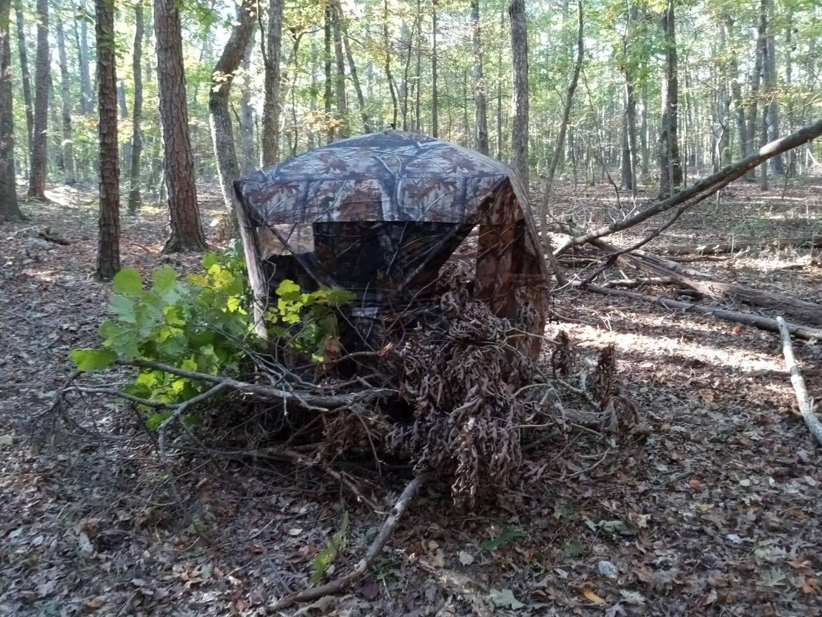 THUNDERBAY SPUR Collector 3 Person Hunting Blind, Portable Ground Blind with Silent Windows, Portable Durable Hunting Tent for Deer & Turkey Hunting customer photo 2