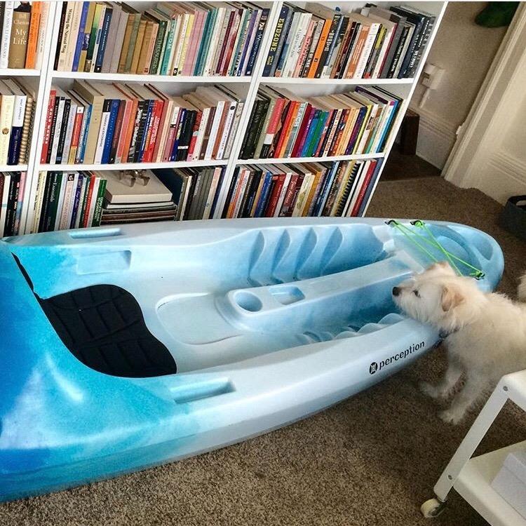 Perception Access | Sit on Top Kayak | High Back Seat | Rod Holders customer photo 1