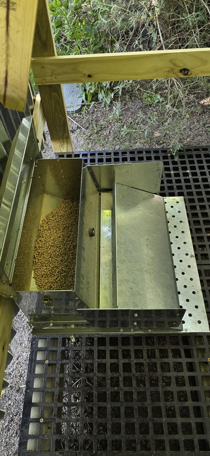 RentACoop Automatic Treadle Chicken Feeder, Rat Proof No Waste, 40 lb customer photo 1