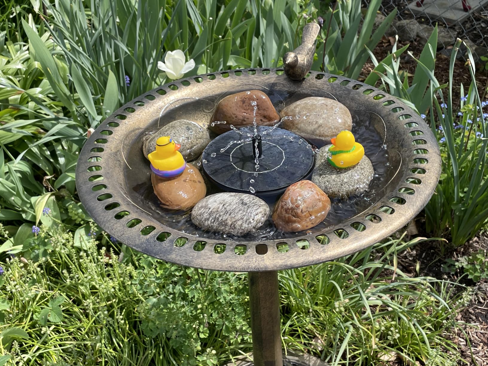 Solar Fountain Water Pump for Bird Bath, New Upgraded Mini Solar Powered Fountain Pump 1.5W Free Standing Solar Panel Kit Water Fountain for Garden, Pond, Pool, and Outdoor customer photo 1