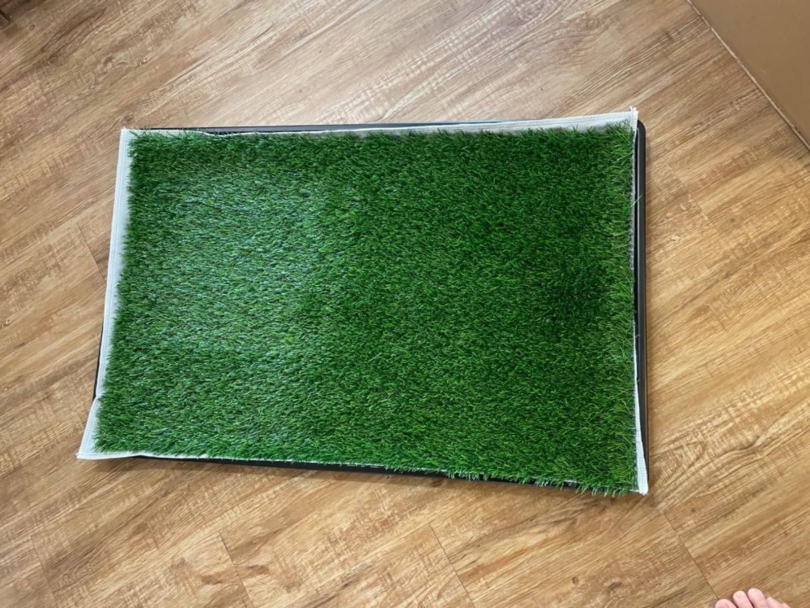 Dog Grass Pad with Tray for Dogs Puppy Potty Training to Pee & Poop Indoor customer photo 1