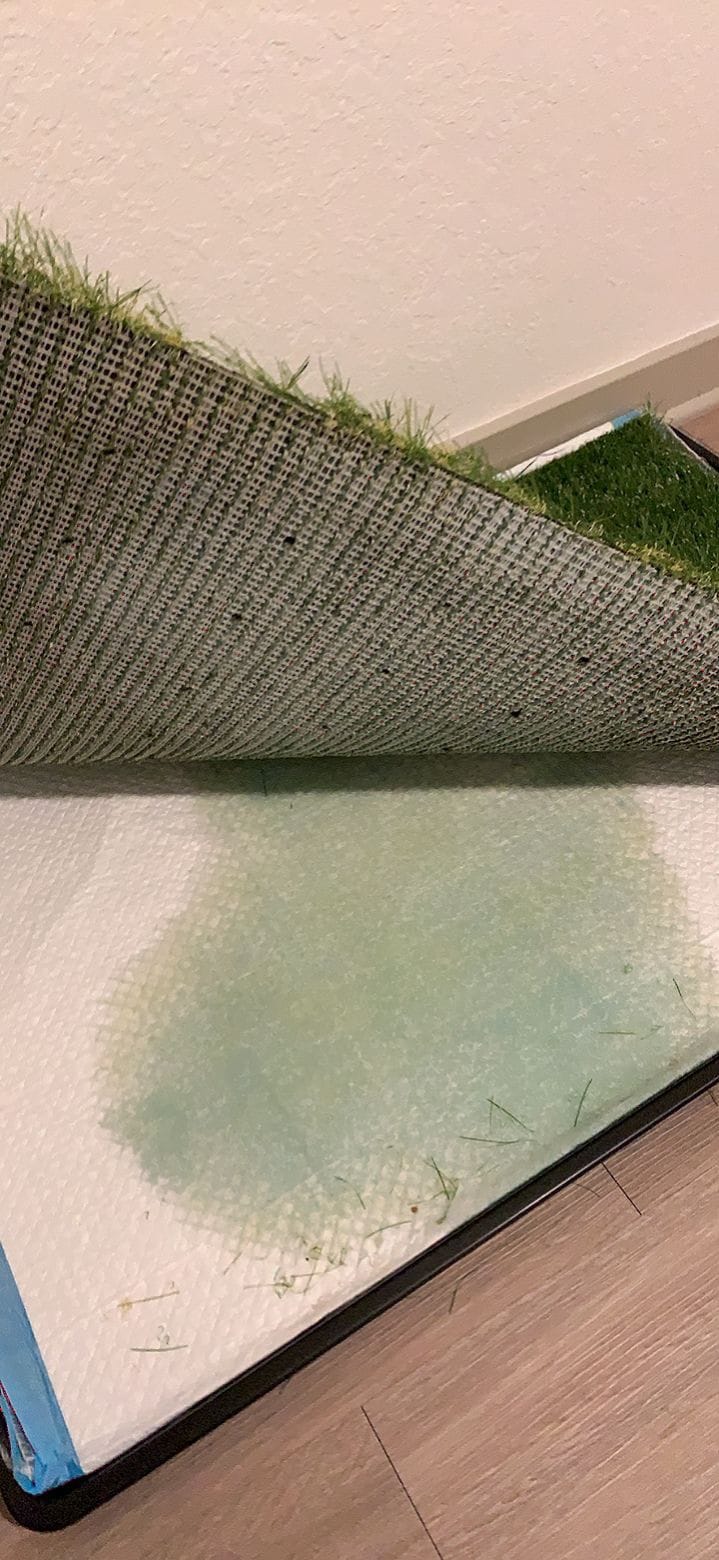 Dog Grass Pad with Tray for Dogs Puppy Potty Training to Pee & Poop Indoor customer photo 2