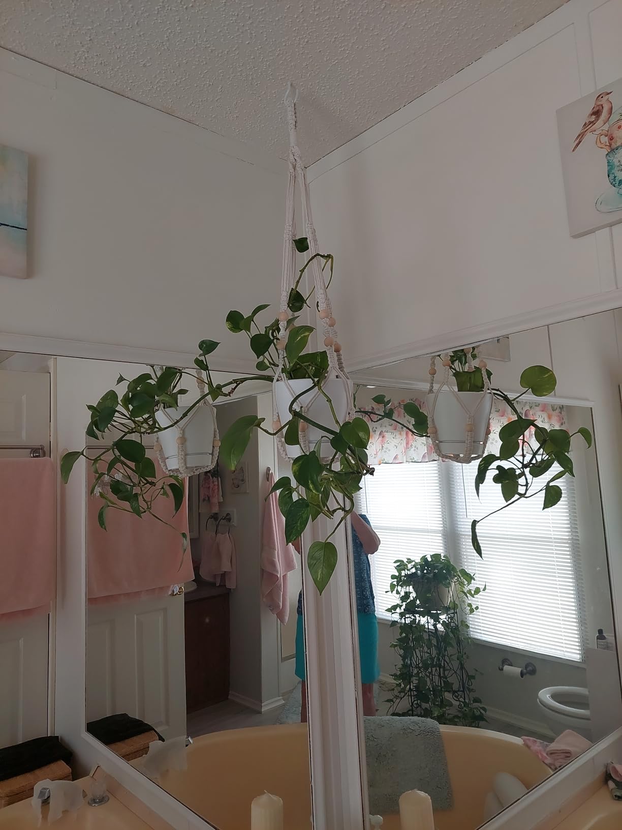 Mkono 3 Pack Macrame Plant Hangers Hanging Planters for Indoor Plants Brown | 3 Sizes 35