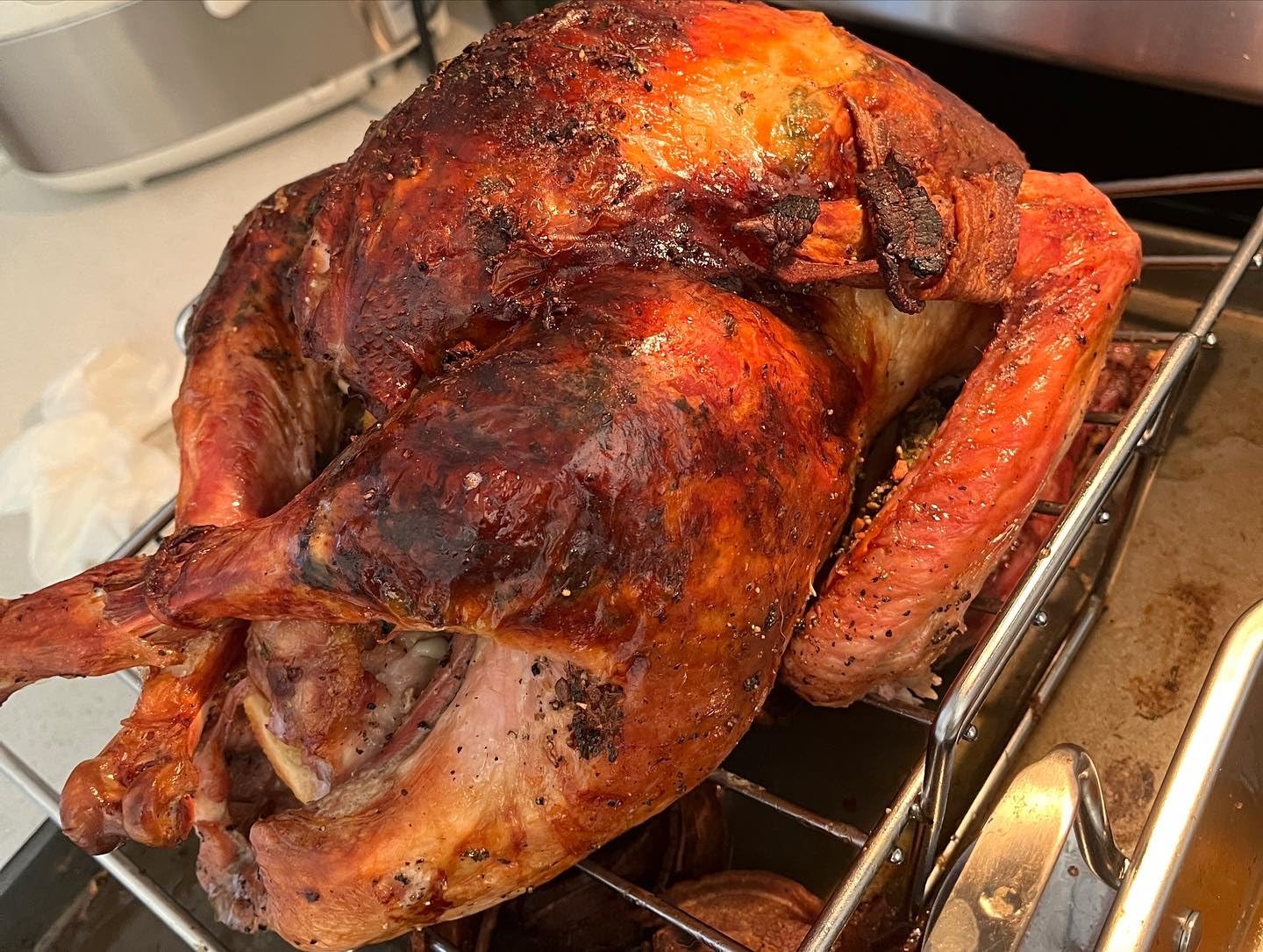 E-far Roasting Pan, 16 x 11.5 Inch Stainless Steel Turkey Roaster with V-shaped & Flat Rack, Non-toxic & Heavy Duty Deep Broiling Pan, Dishwasher Safe - Large customer photo 1