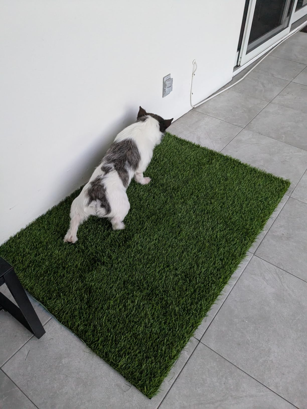 CooZero Artificial Grass, 47.3