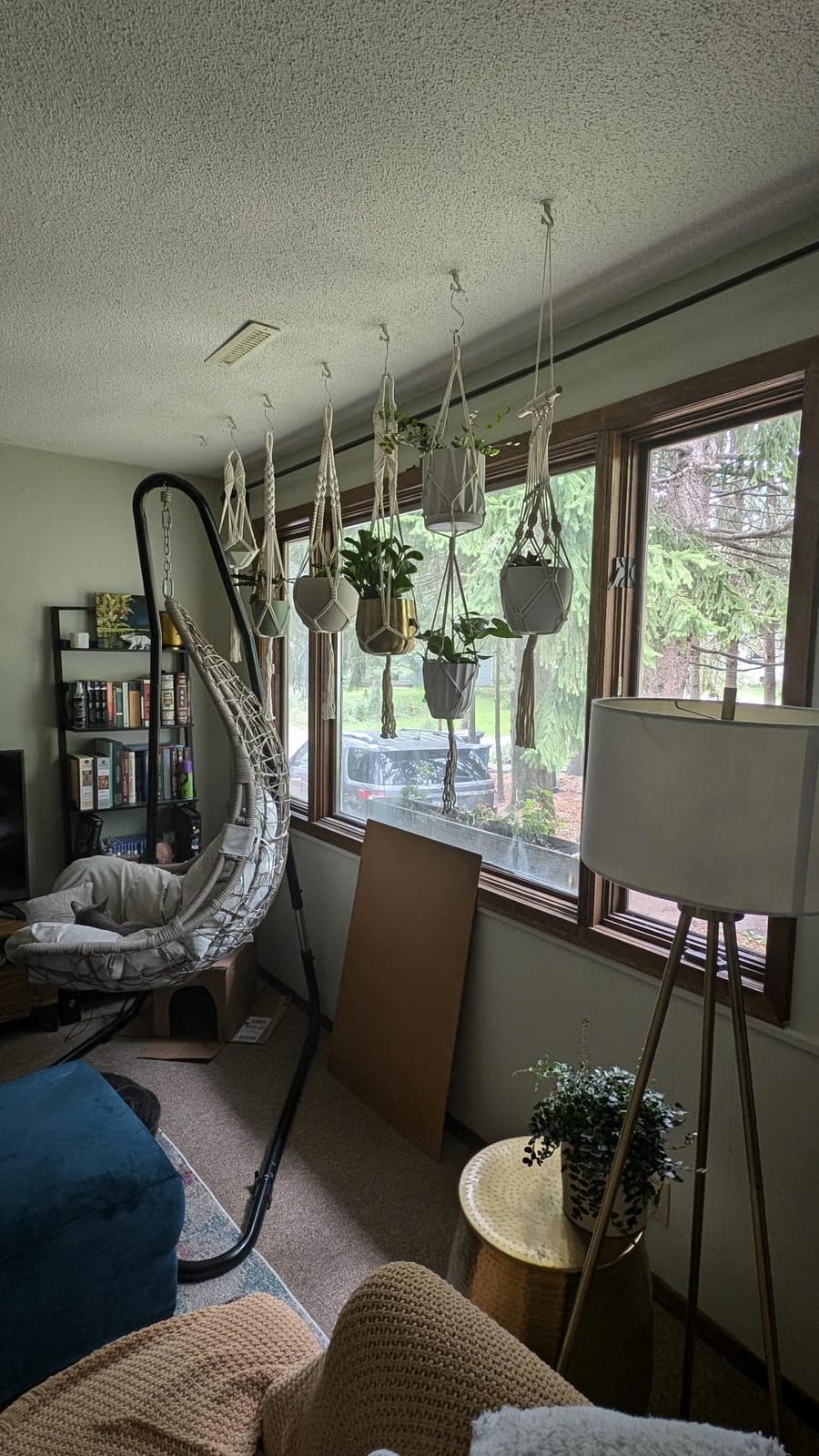 6-Pack Macrame Plant Hangers with 12 Hooks - Hanging Planters for Indoor Plants, Boho Macrame Hangers Indoor Outdoor, Decorative Plant Hanger Indoor (Cream) customer photo 1