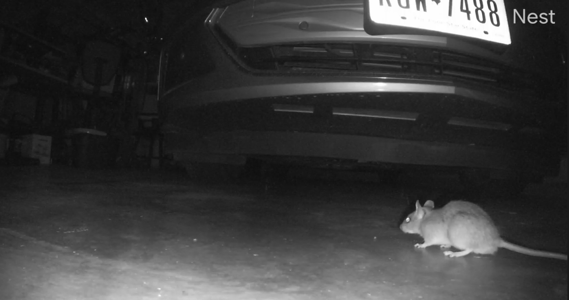 Loraffe 4-in-1 Plug-in Ultrasonic Rodent Repellent, Mouse & Rat Deterrent customer photo 2