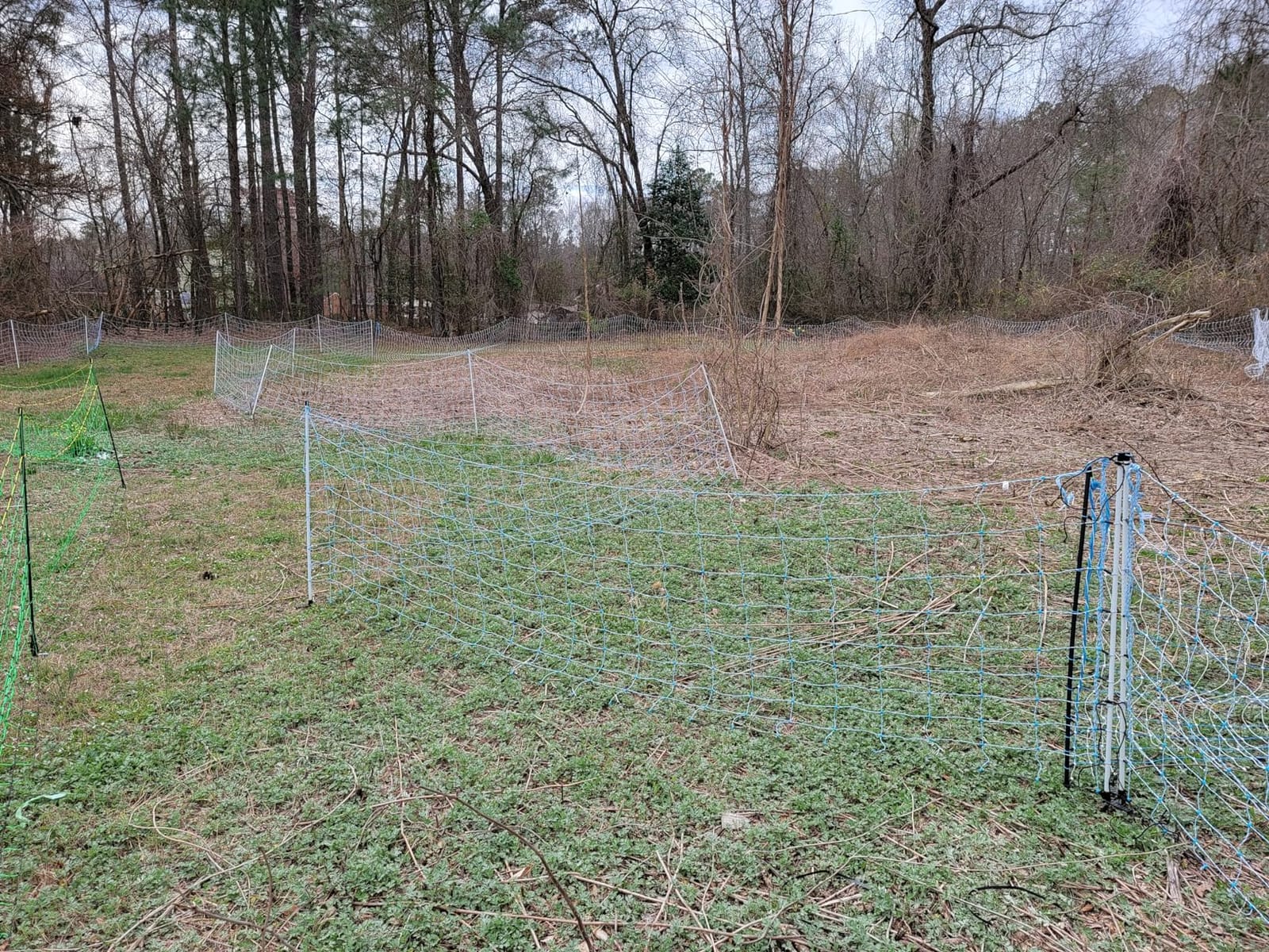 Standard Electric Poultry Netting 42