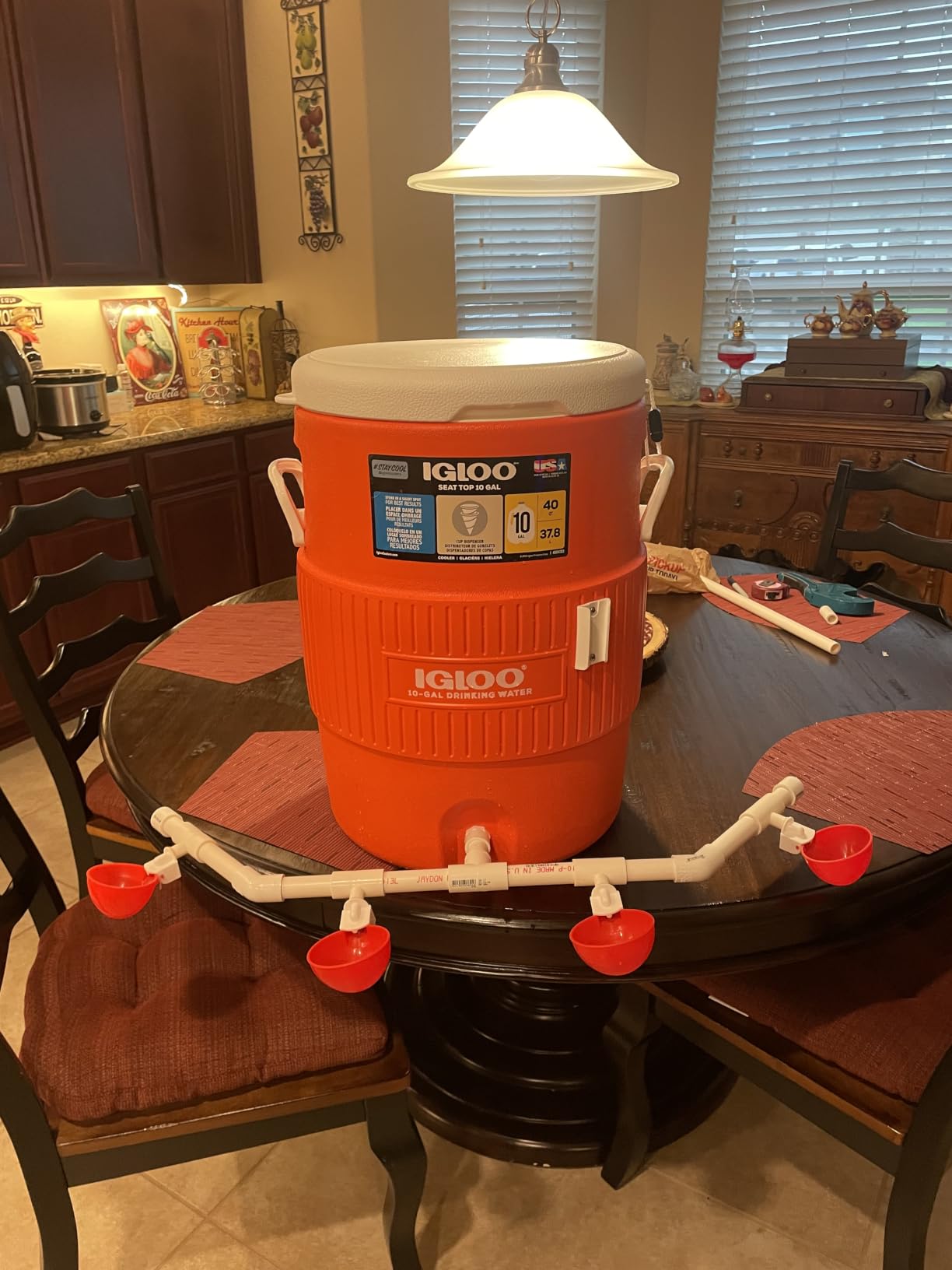 Igloo Sports Cooler | Insulated Beverage Dispenser with Spout |Portable Handwashing Station customer photo 1