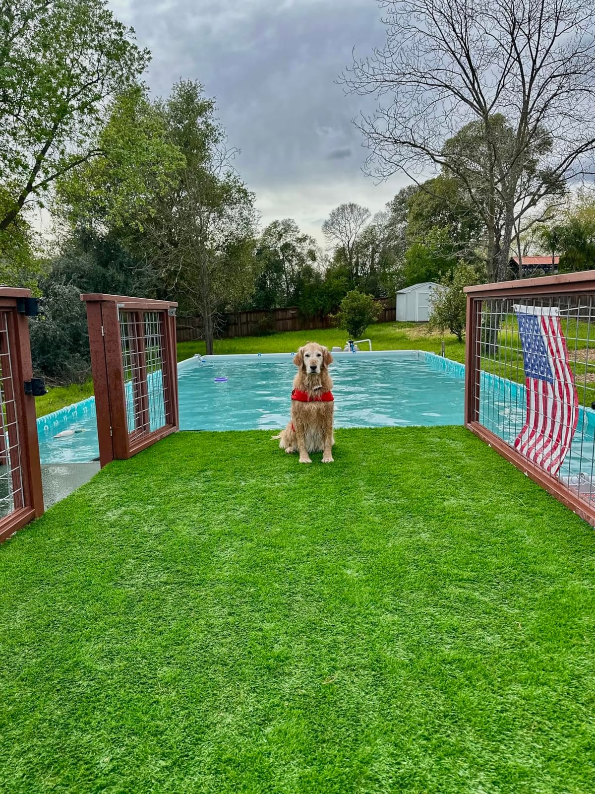 AYOHA 3 FT x 30 FT Artificial Grass, Realistic Fake Grass Deluxe Synthetic Turf Thick Lawn Pet Turf, Indoor/Outdoor Landscape, Easy to Clean with Drain Holes, Non-Toxic, High Density, 35mm customer photo 1